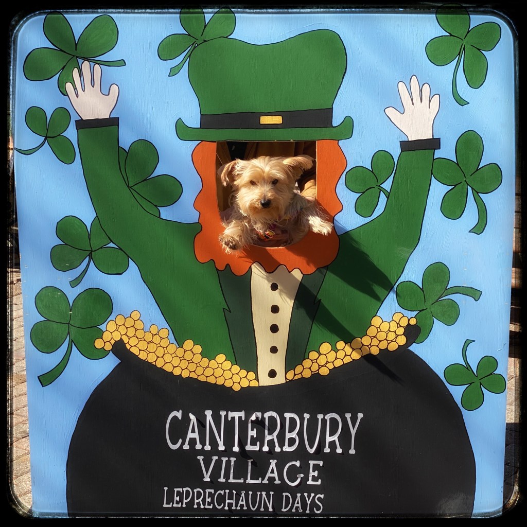 The Leprechauns Made Me Do&nbsp;It