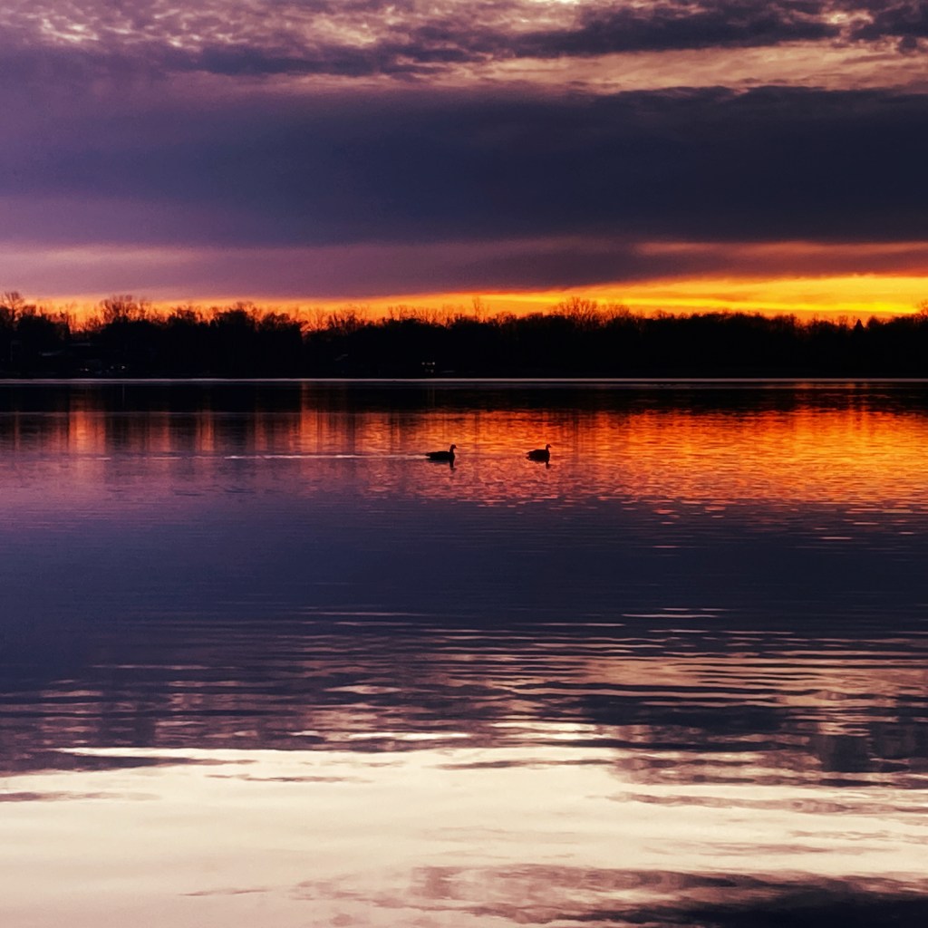 Winter Mornings And A Wonderful&nbsp;Documentary