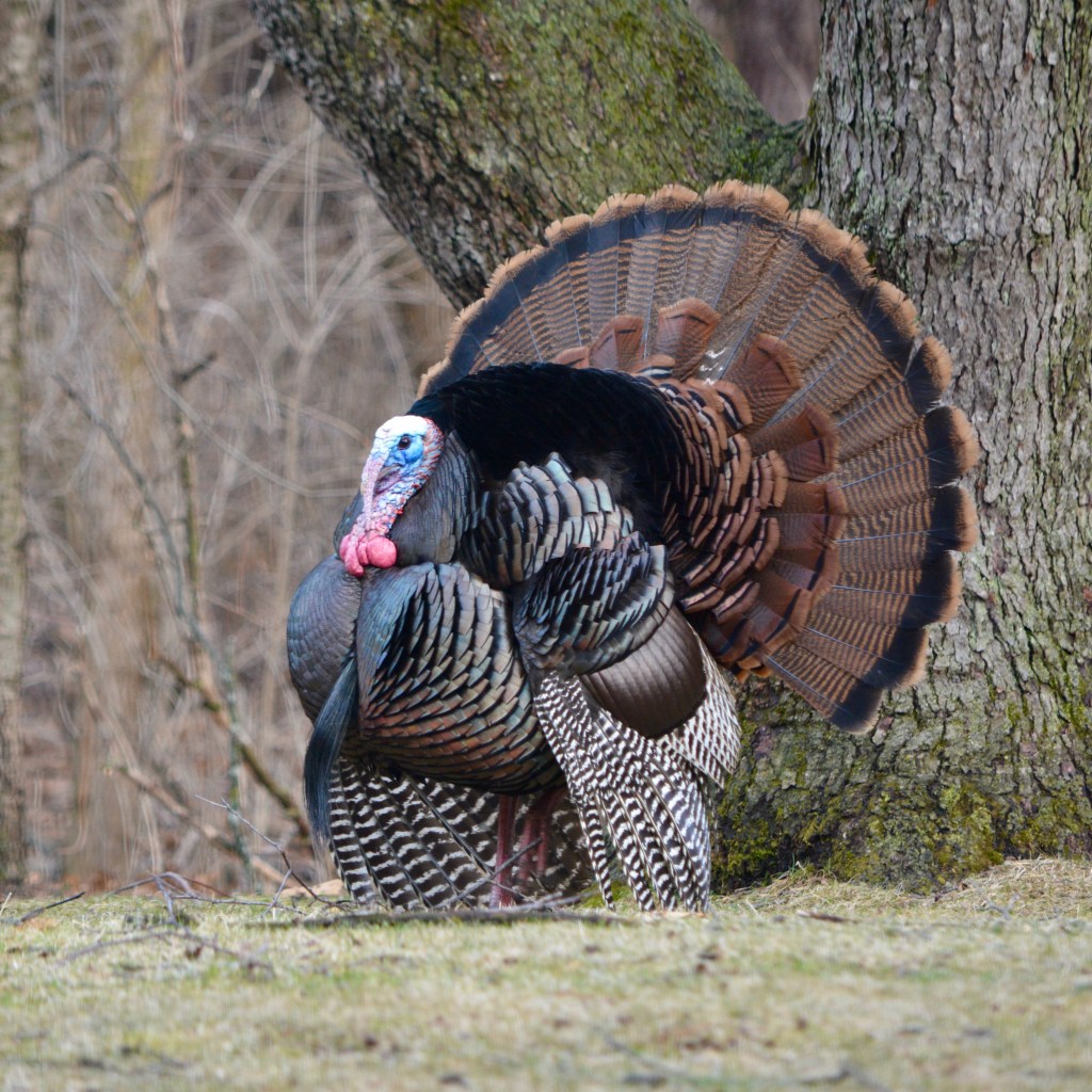 Spring Days And Good&nbsp;Music