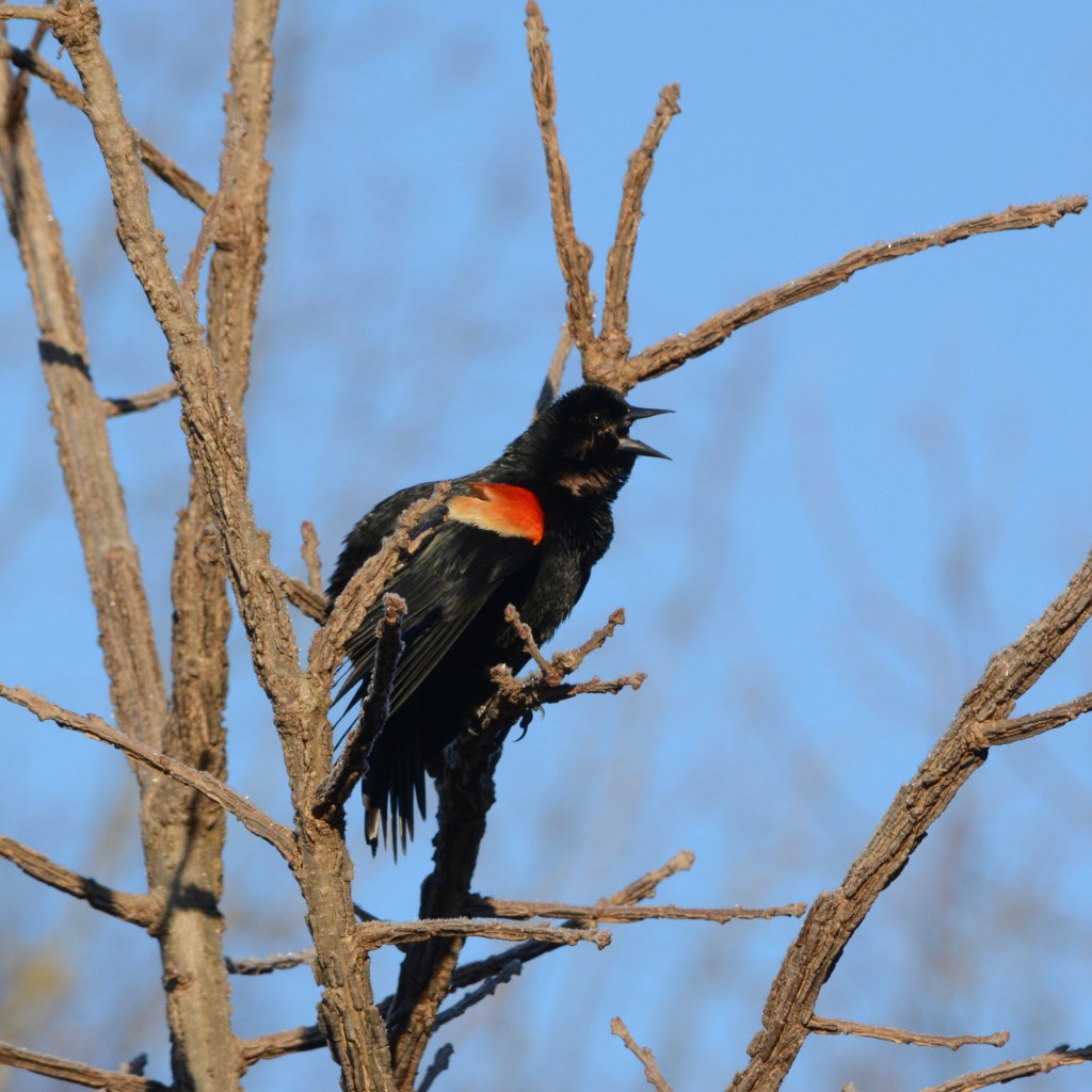 Spring Mornings And Good&nbsp;Music