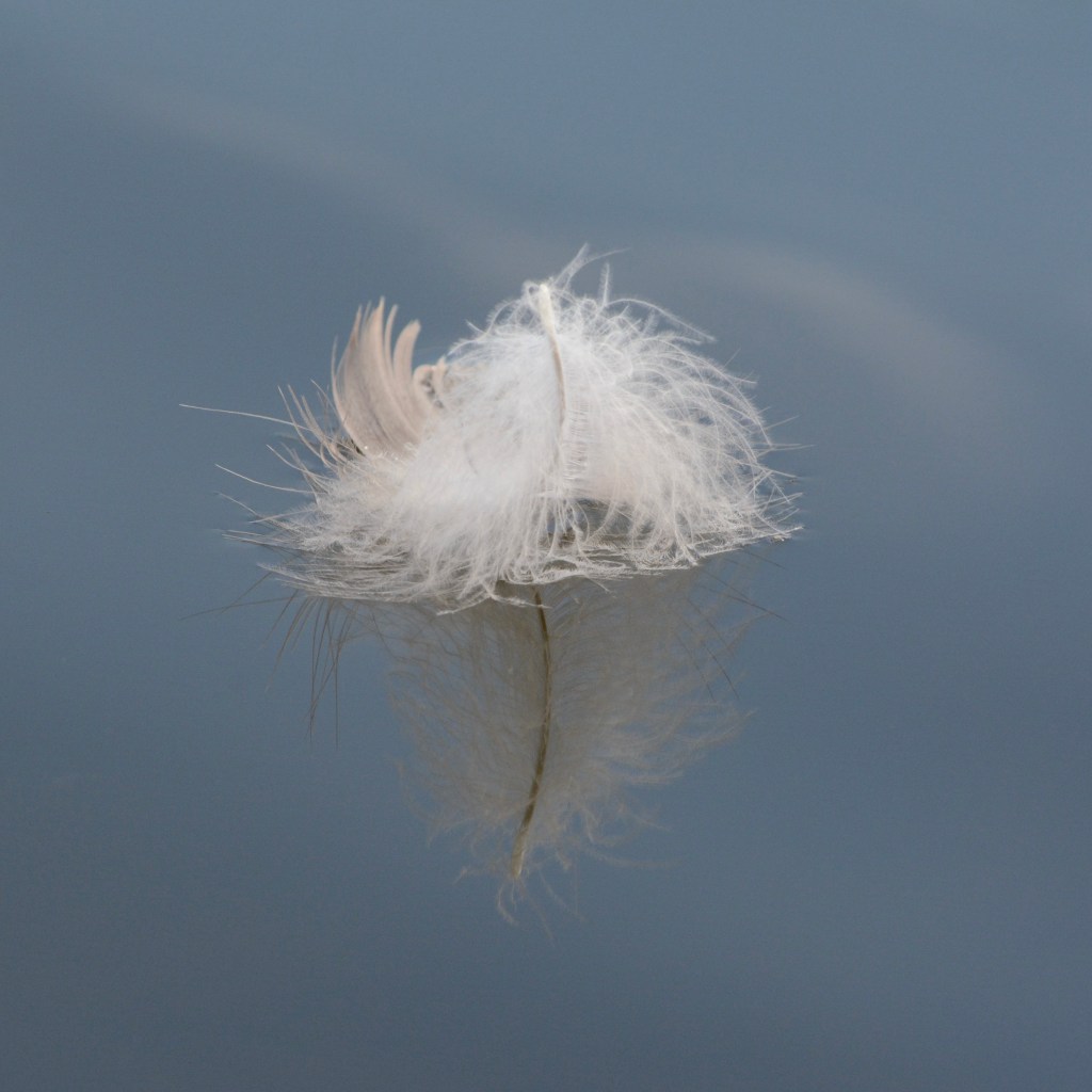 Spring Mornings And Good&nbsp;Music