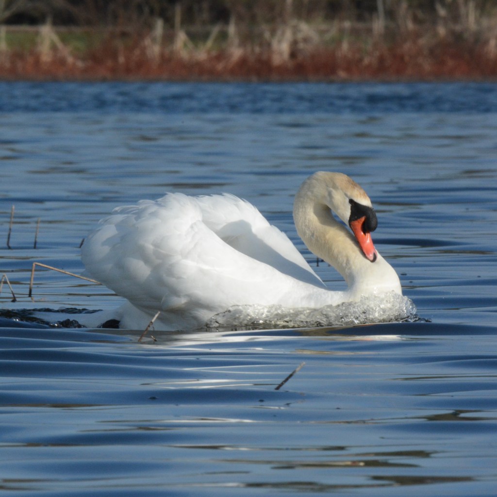 Spring Mornings And Good&nbsp;Movies