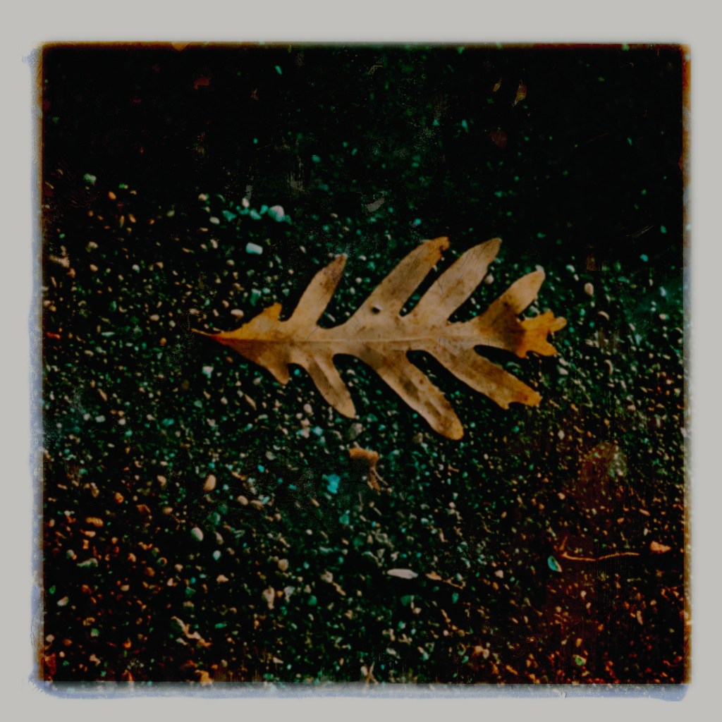 Spring Mornings And Good&nbsp;Movies