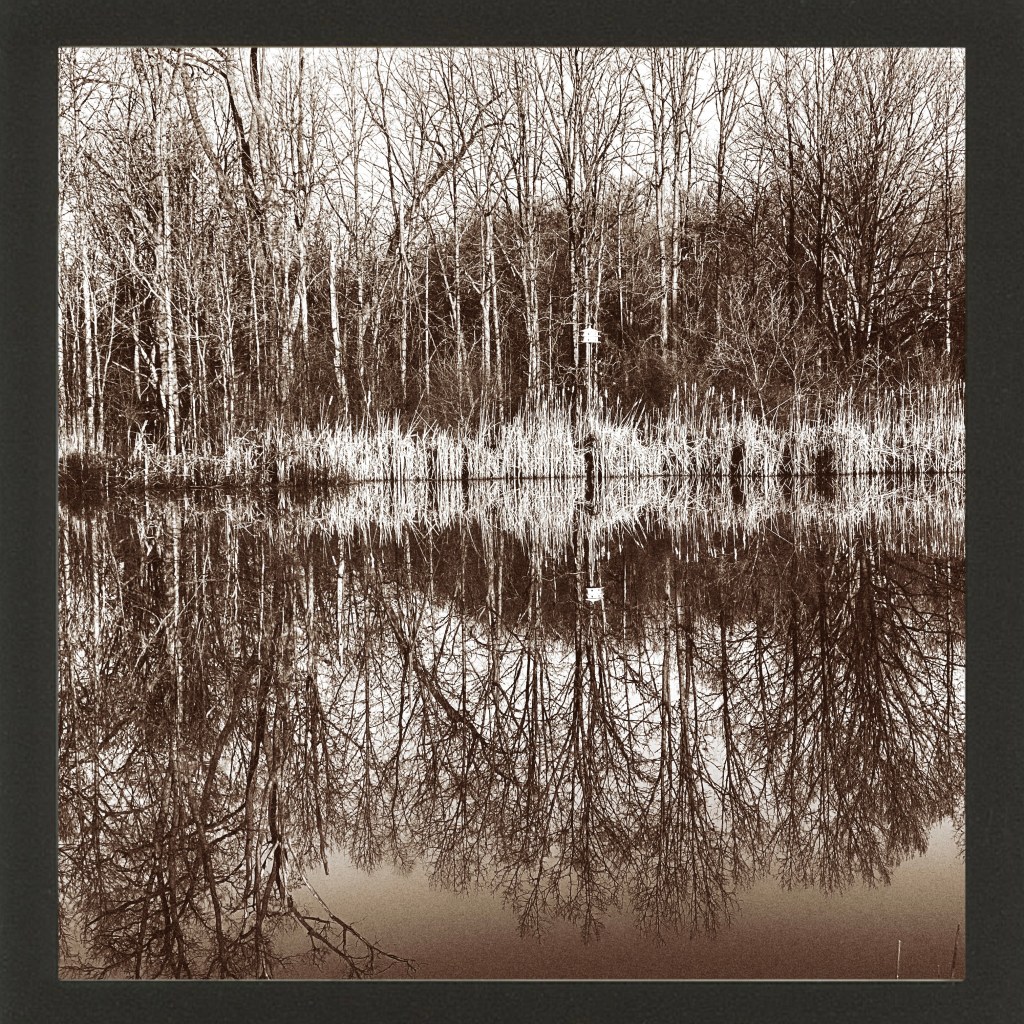 Spring Mornings And Good TV&nbsp;Shows