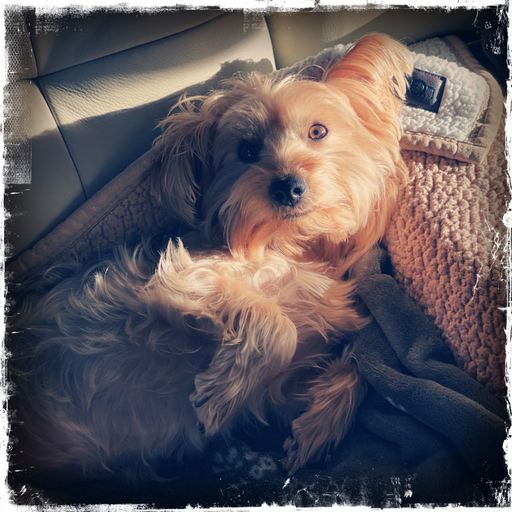 The Art Of CIMPLE Living – Reconnect With The Lazy Day&nbsp;Vibe