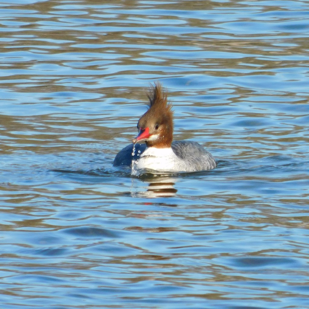Spring Mornings And Good TV&nbsp;Shows
