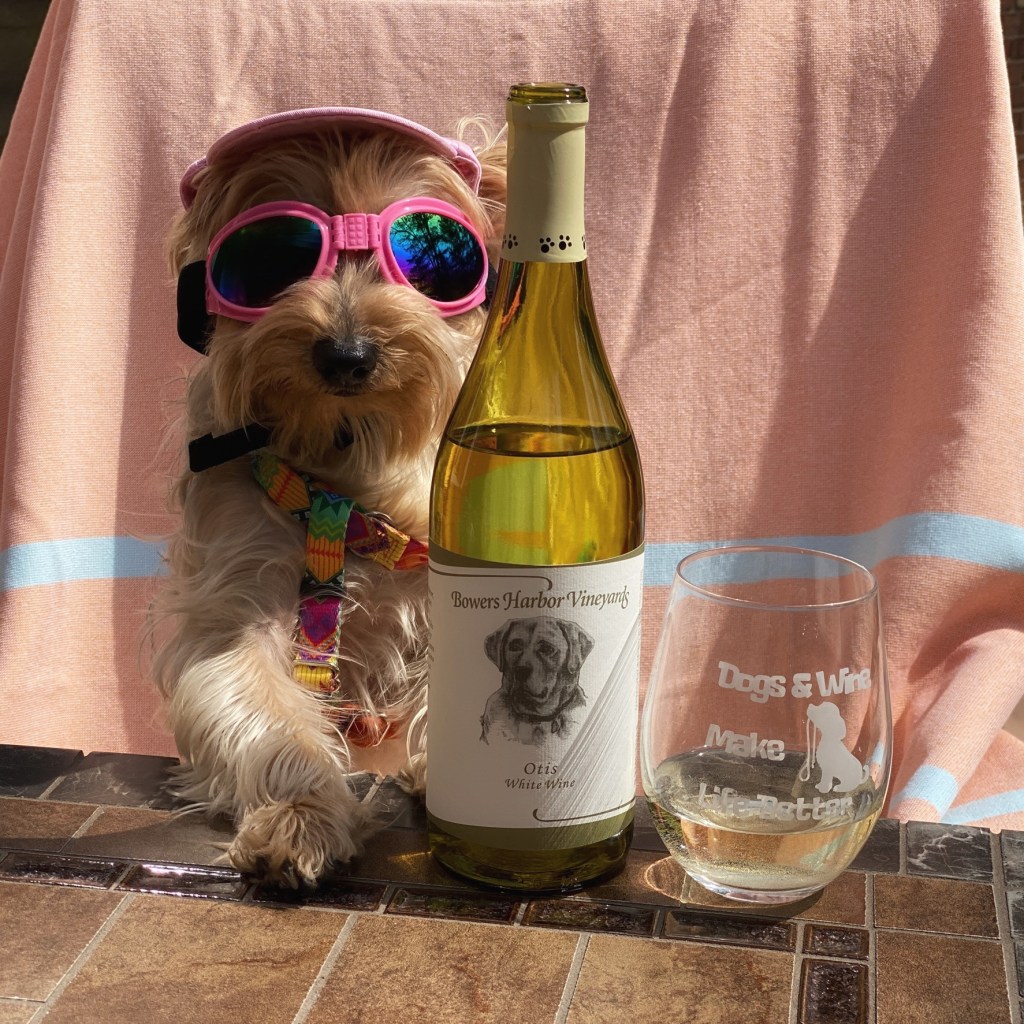 Harper Doesn’t Like Other Dogs, But We Finally Found One We Could&nbsp;Enjoy