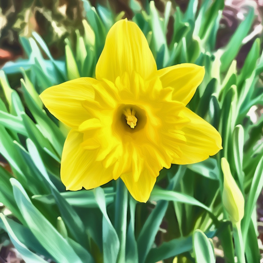 I’ve Been Pondering…