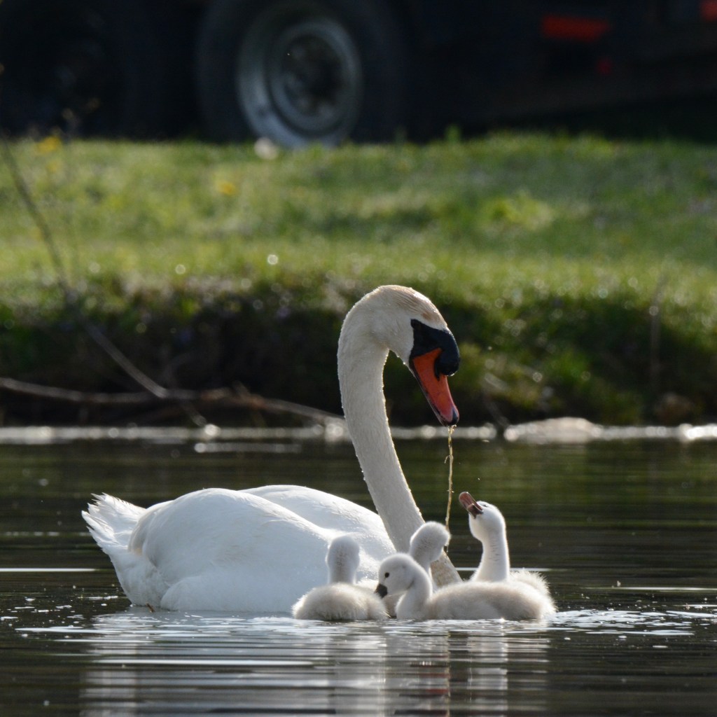 Spring Mornings And Good&nbsp;Music