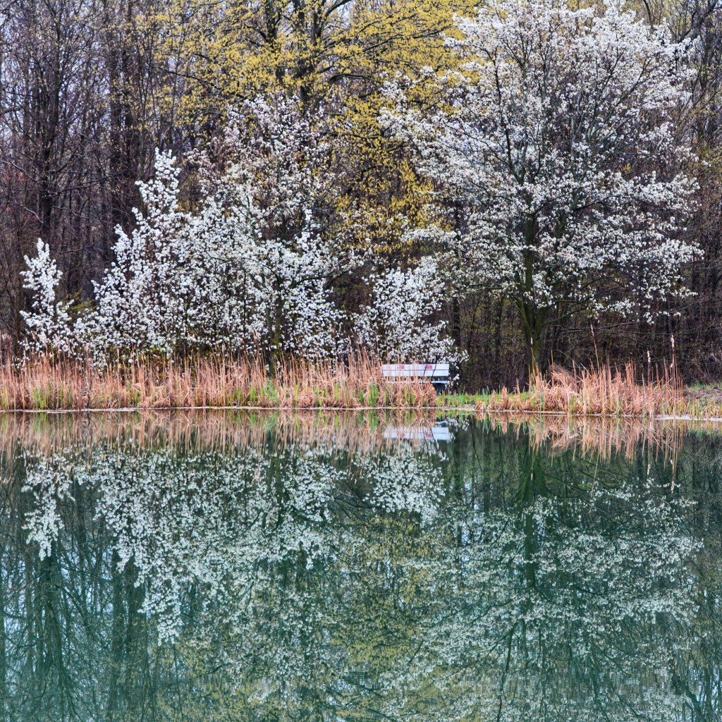 Spring Mornings And Good TV&nbsp;Shows