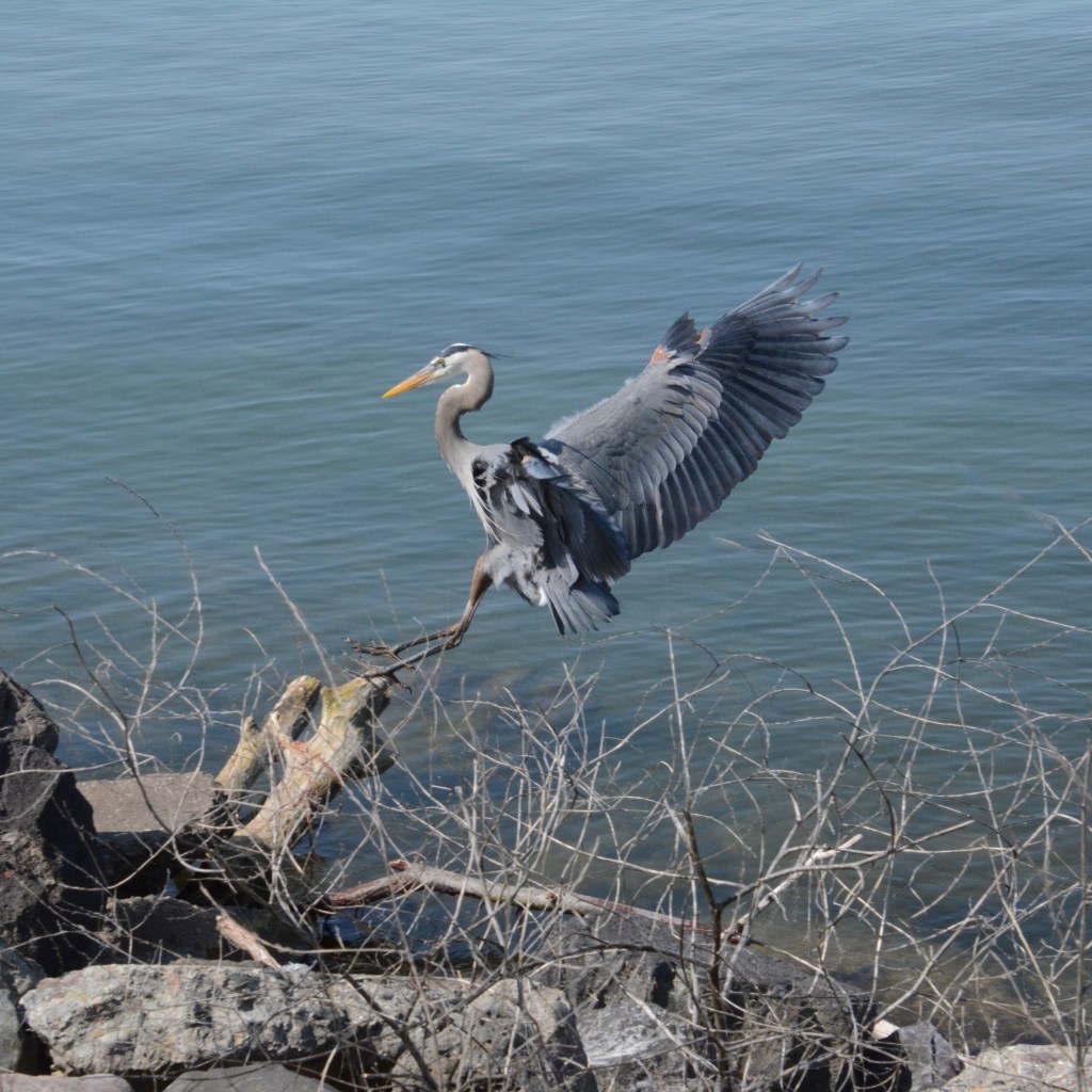 The Week In Seven Photos