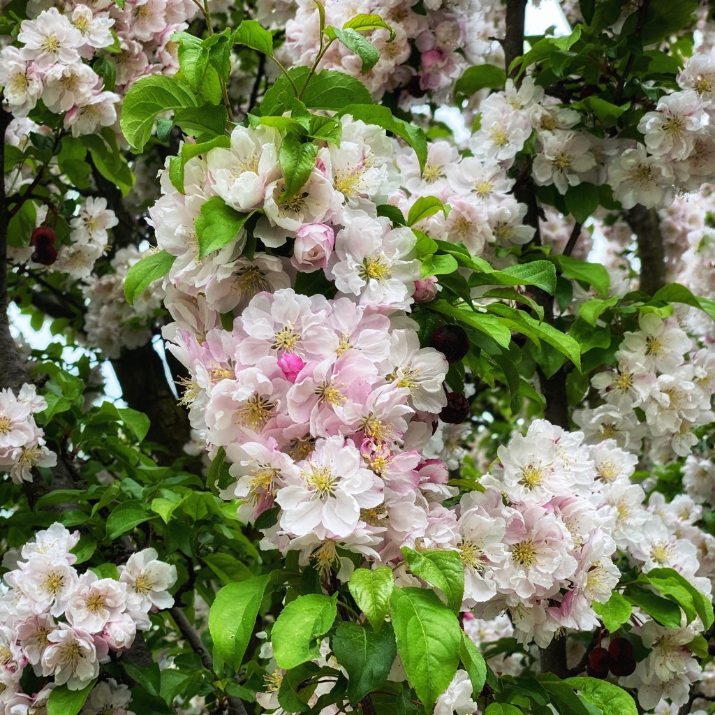 I’ve Been Pondering…