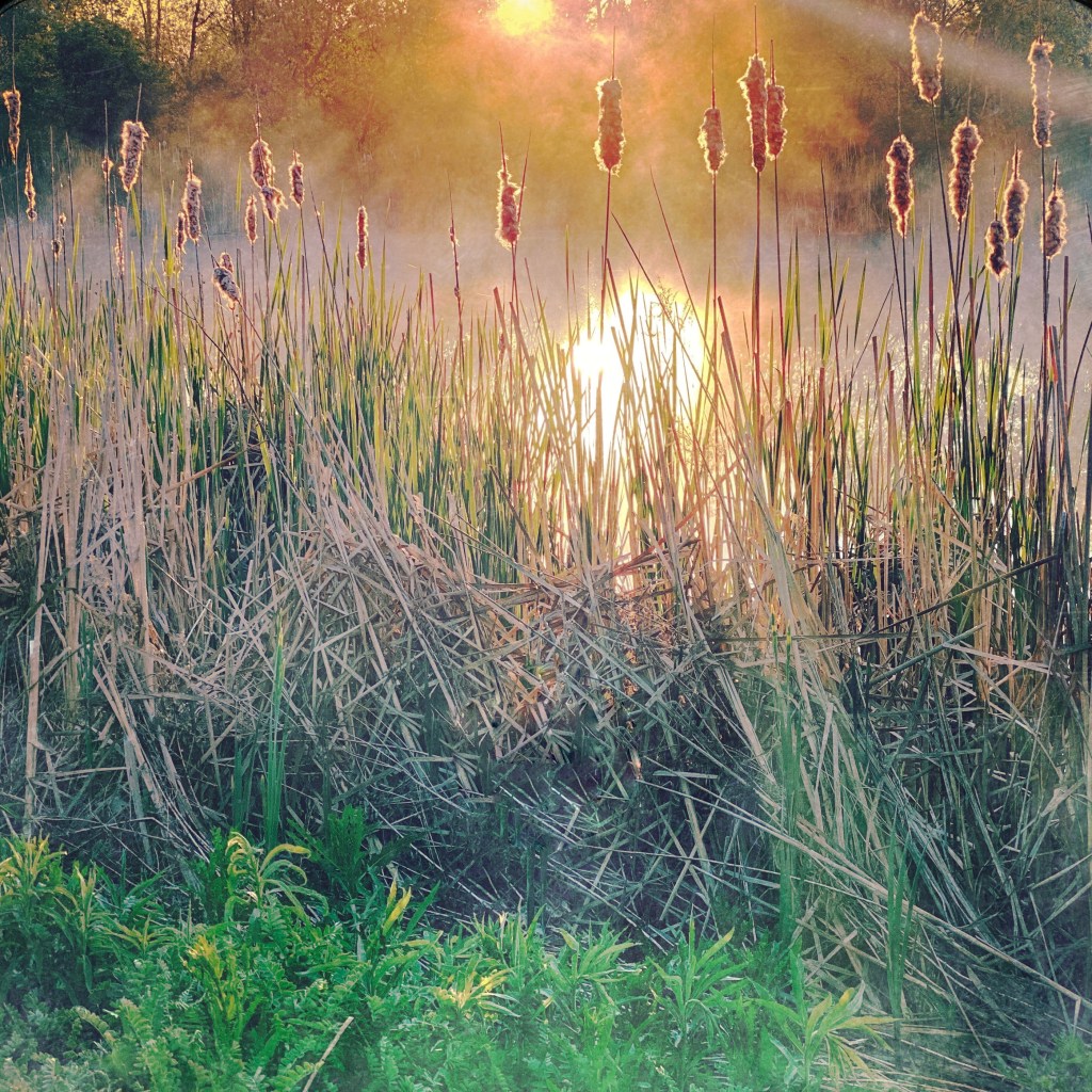 The Week In Seven Photos