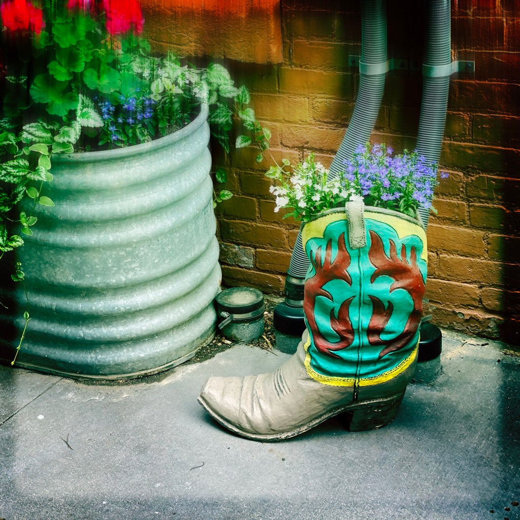 I’ve Been Pondering…