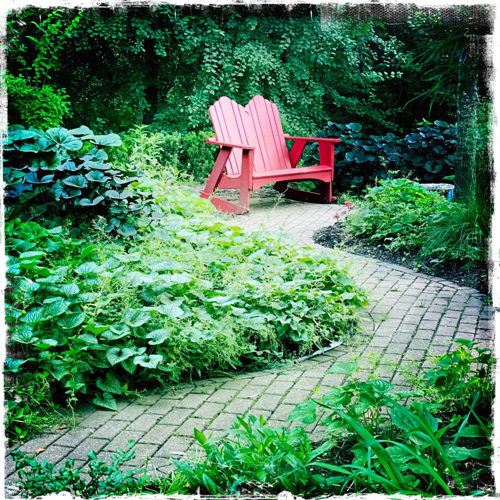 Summer Mornings And Good&nbsp;Books