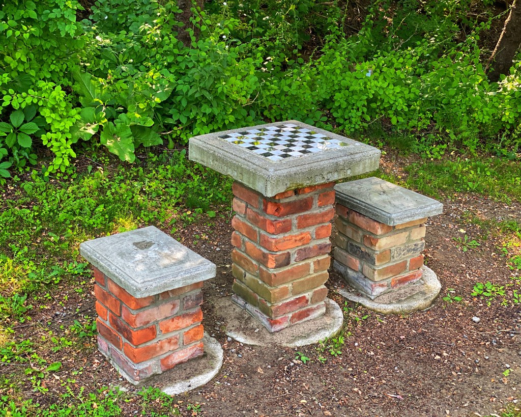 Life Is Like A Game Of Chess…I Don’t Know How To Play&nbsp;Chess