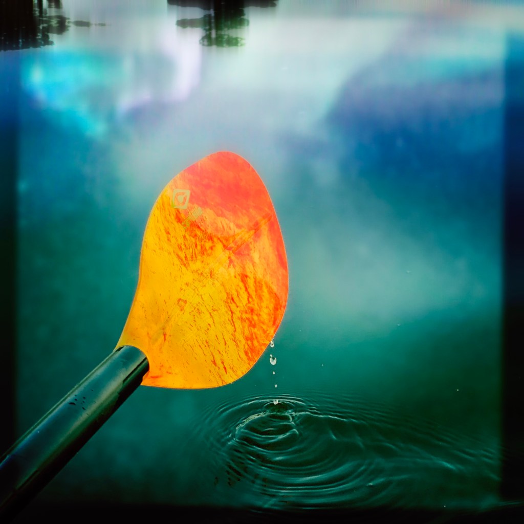 I’ve Been Pondering…