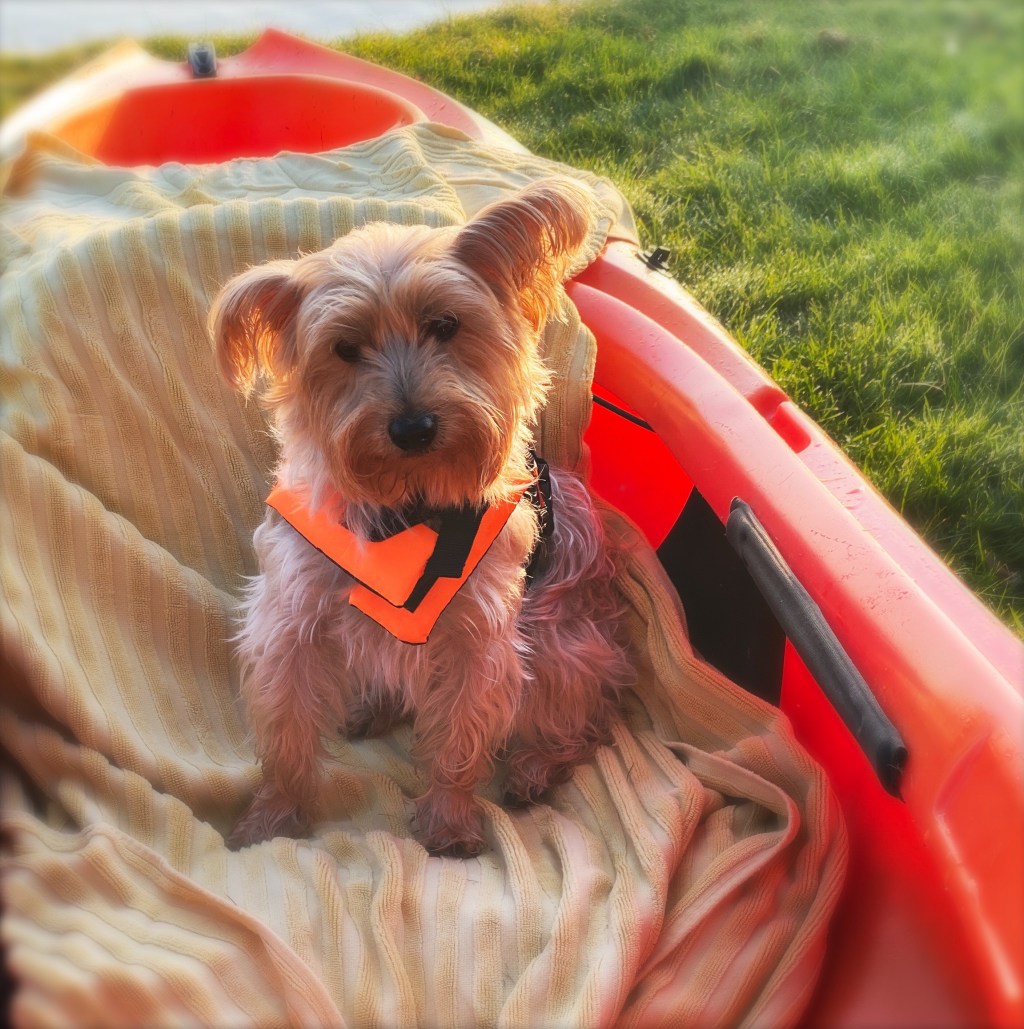 Favorites Of The&nbsp;Week