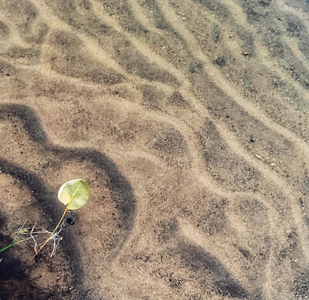 I’ve Been Pondering…