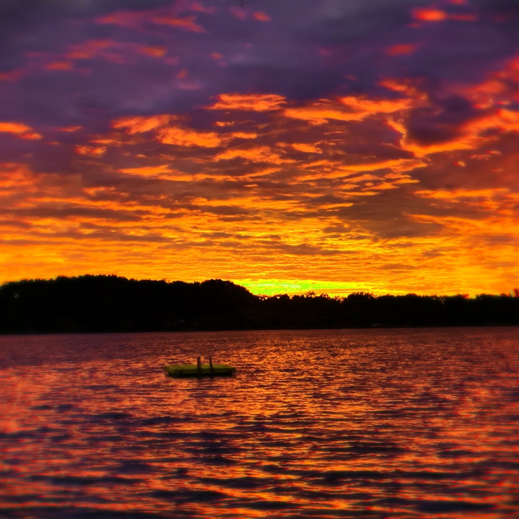 Summer Mornings And Latest Addition To The&nbsp;Bookshelf