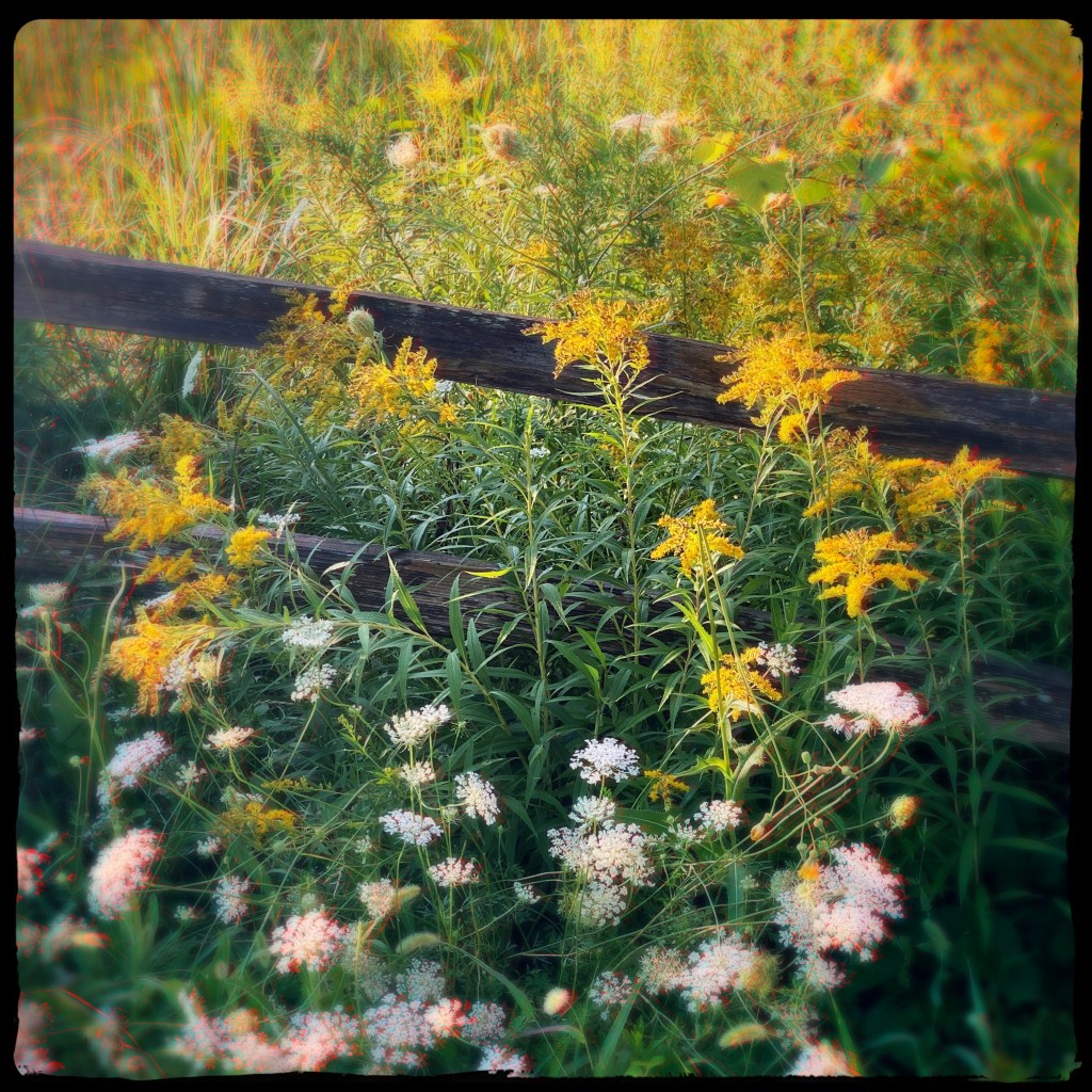 Summer Mornings And Good&nbsp;Music