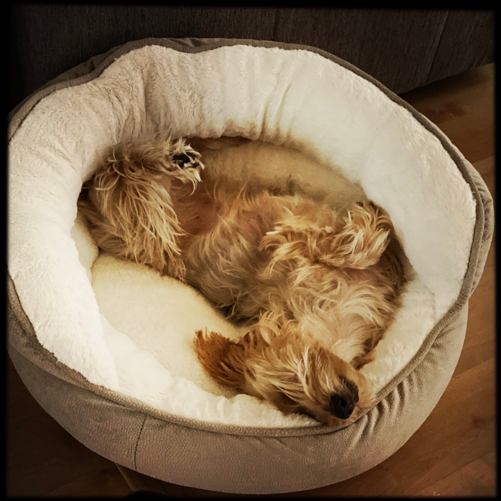 It Was One Of Those Exhausting Weeks That Even My Coffee Needed A&nbsp;Coffee