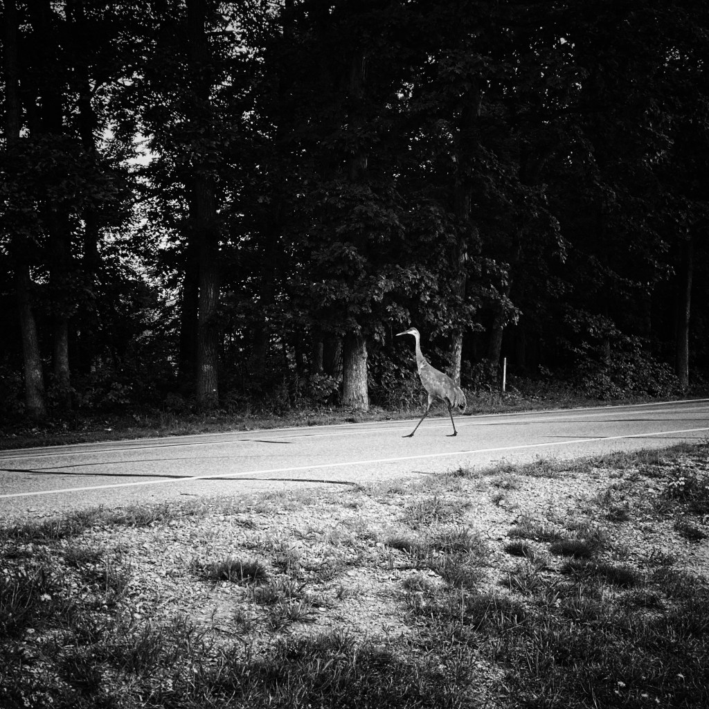 Summer Mornings And Good&nbsp;Music