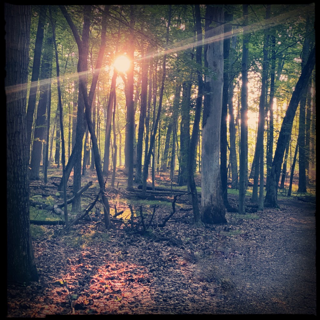 Summer Mornings And Good&nbsp;Movies