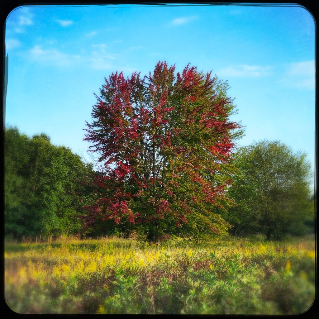 iPhone Journey – Day&nbsp;3