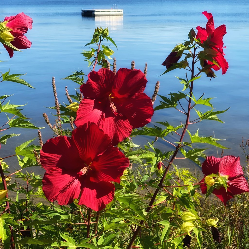 So Long Summer, I Will Miss You In&nbsp;February