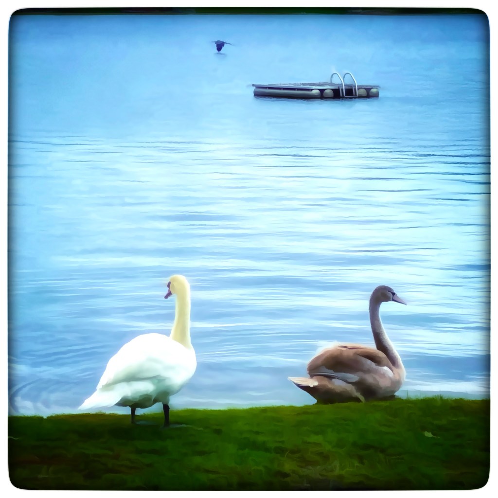 IPhone Journey – Day&nbsp;4