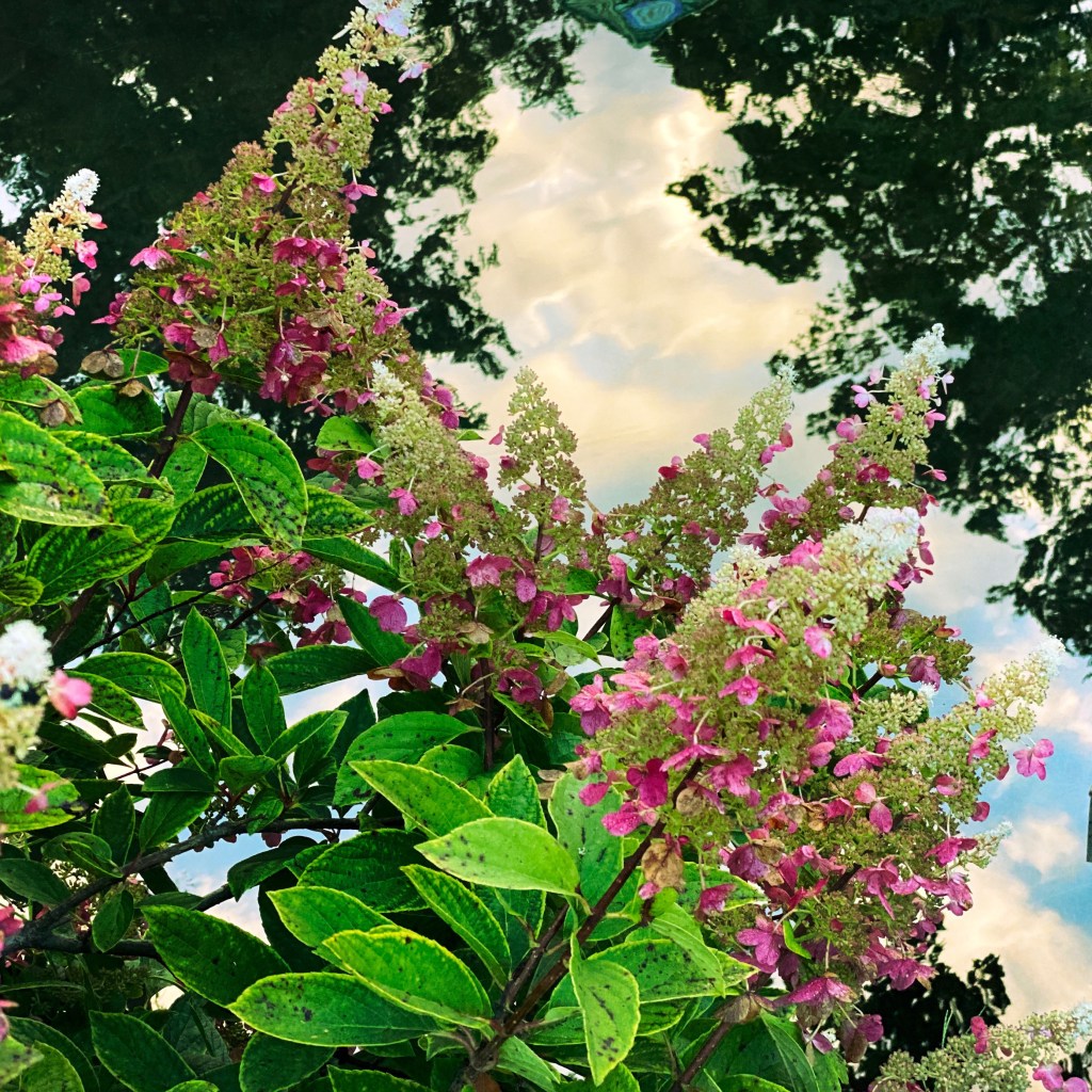 iPhone Journey – Day&nbsp;7