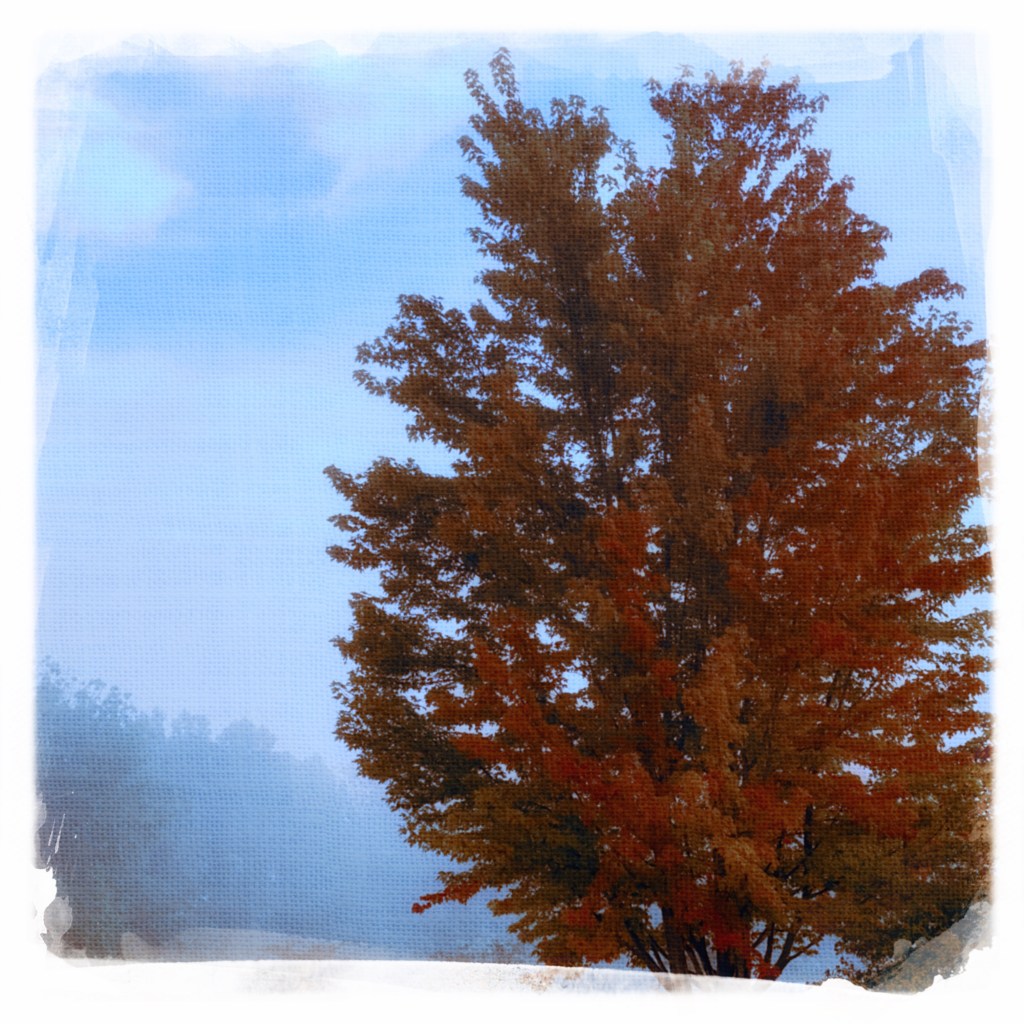 iPhone Journey – Day&nbsp;8