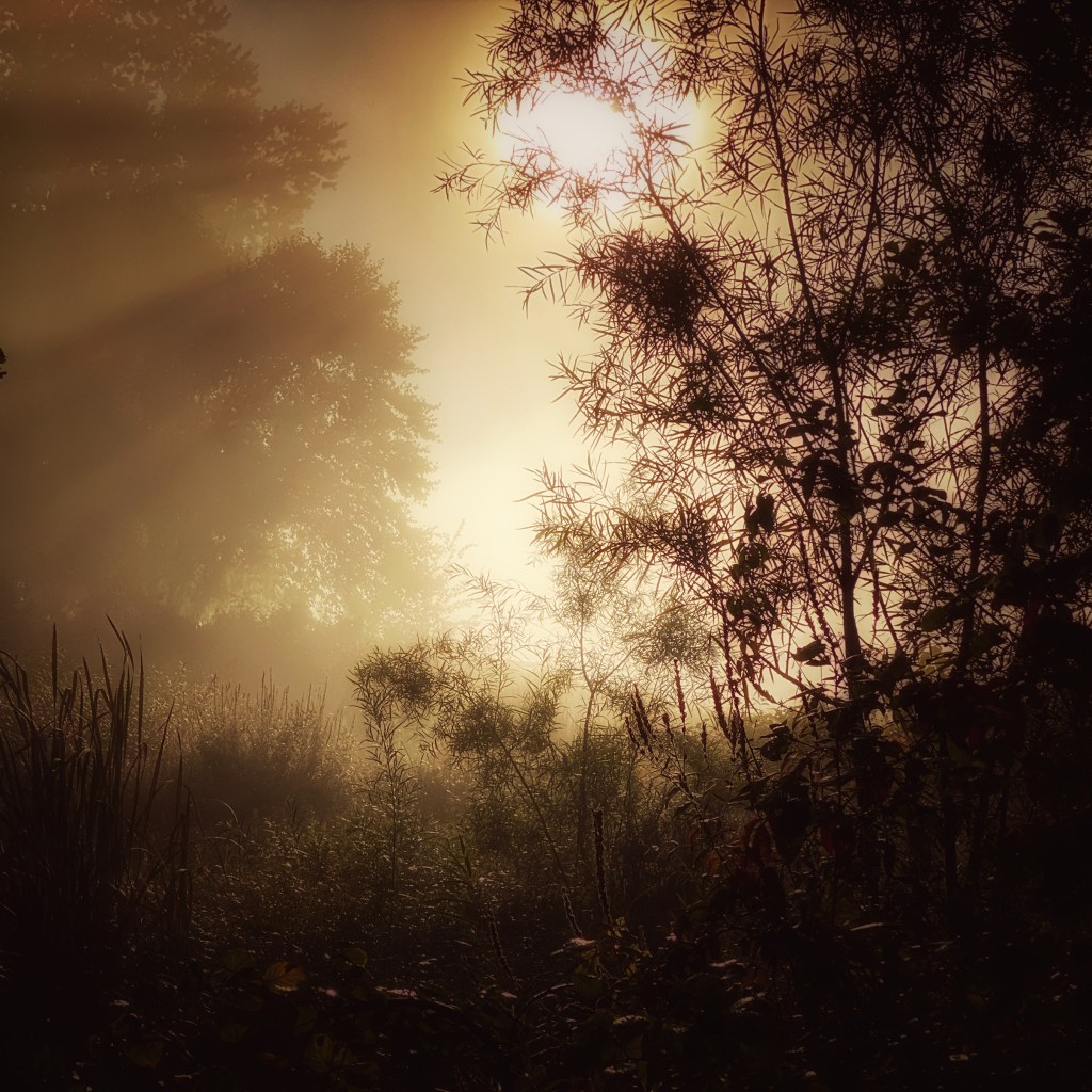 iPhone Journey – Day&nbsp;15