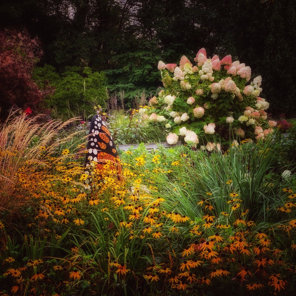 iPhone Journey – Day&nbsp;16