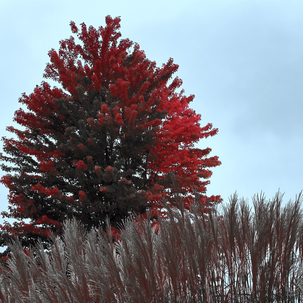 iPhone Journey – Day&nbsp;22