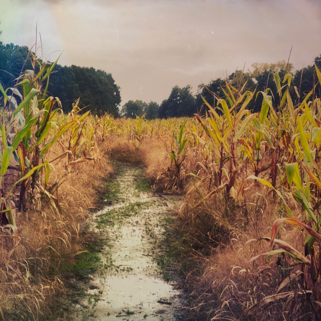 iPhone Journey – Day&nbsp;25