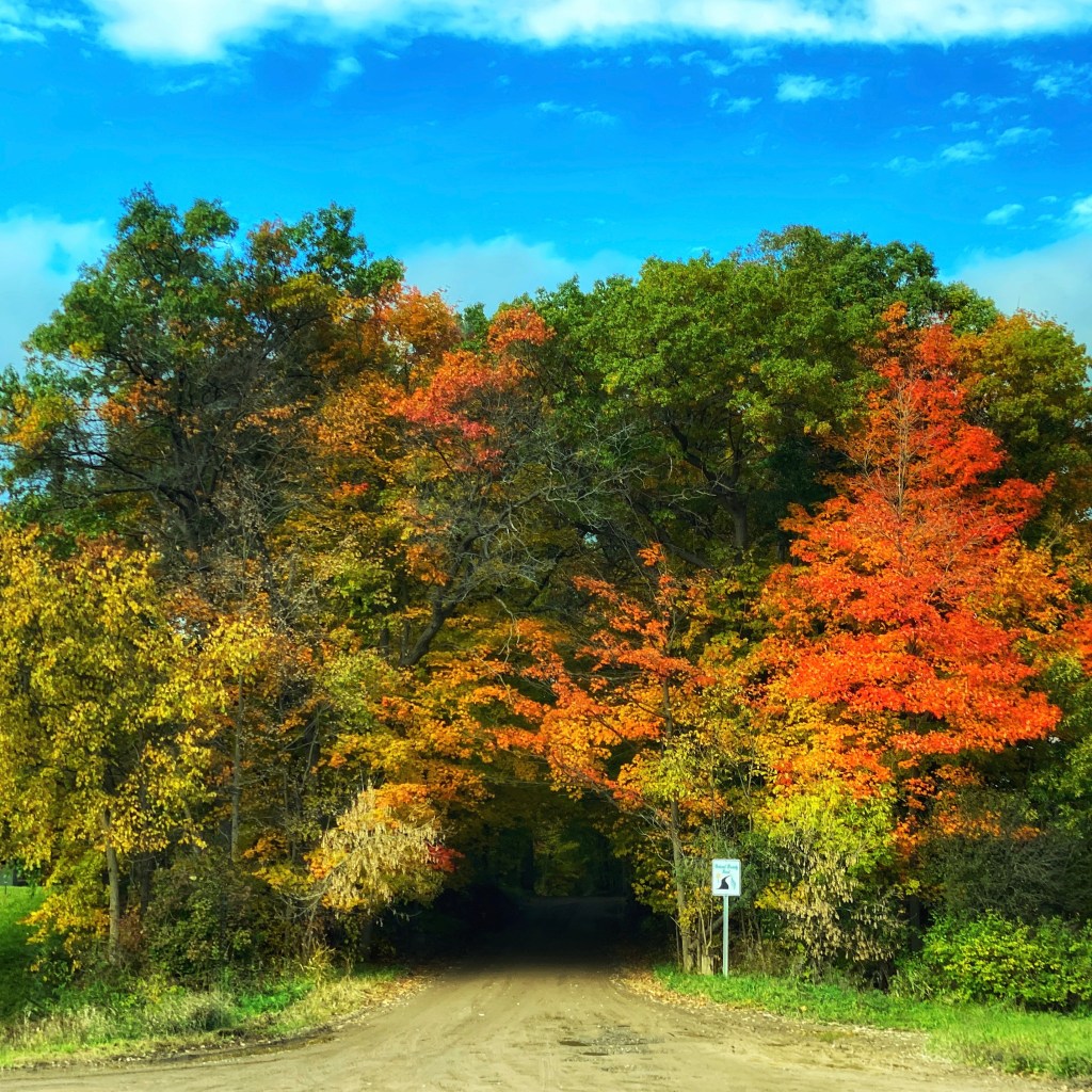 A Portal To Endless Autumn Lattes – iPhone Journey – Day&nbsp;46