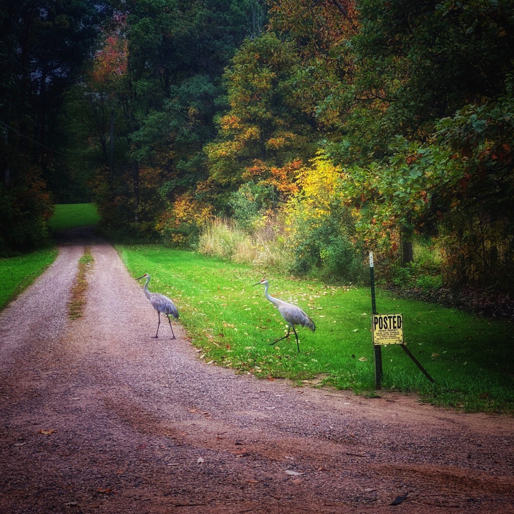 iPhone Journey – Day&nbsp;27