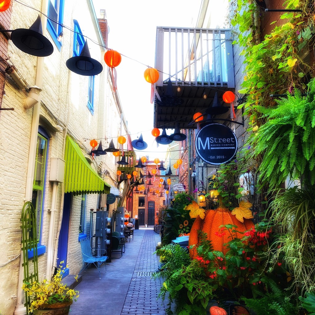 iPhone Journey – Day&nbsp;35