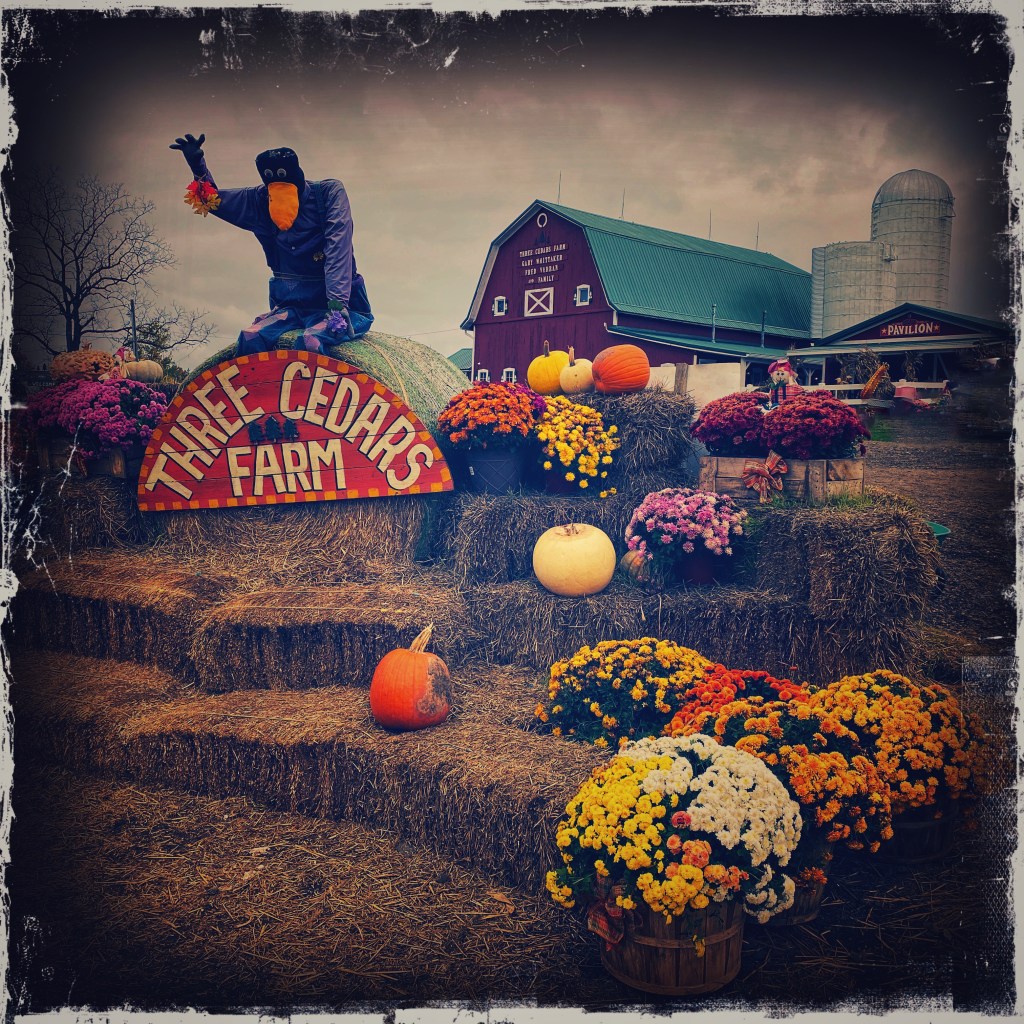 Take A Big Ol’ Swig Of The Simple Life