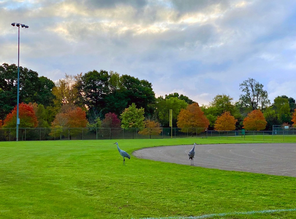 iPhone Journey – Day&nbsp;40