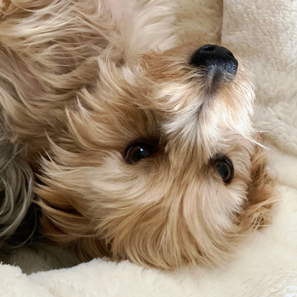 iPhone Journey – Day&nbsp;64