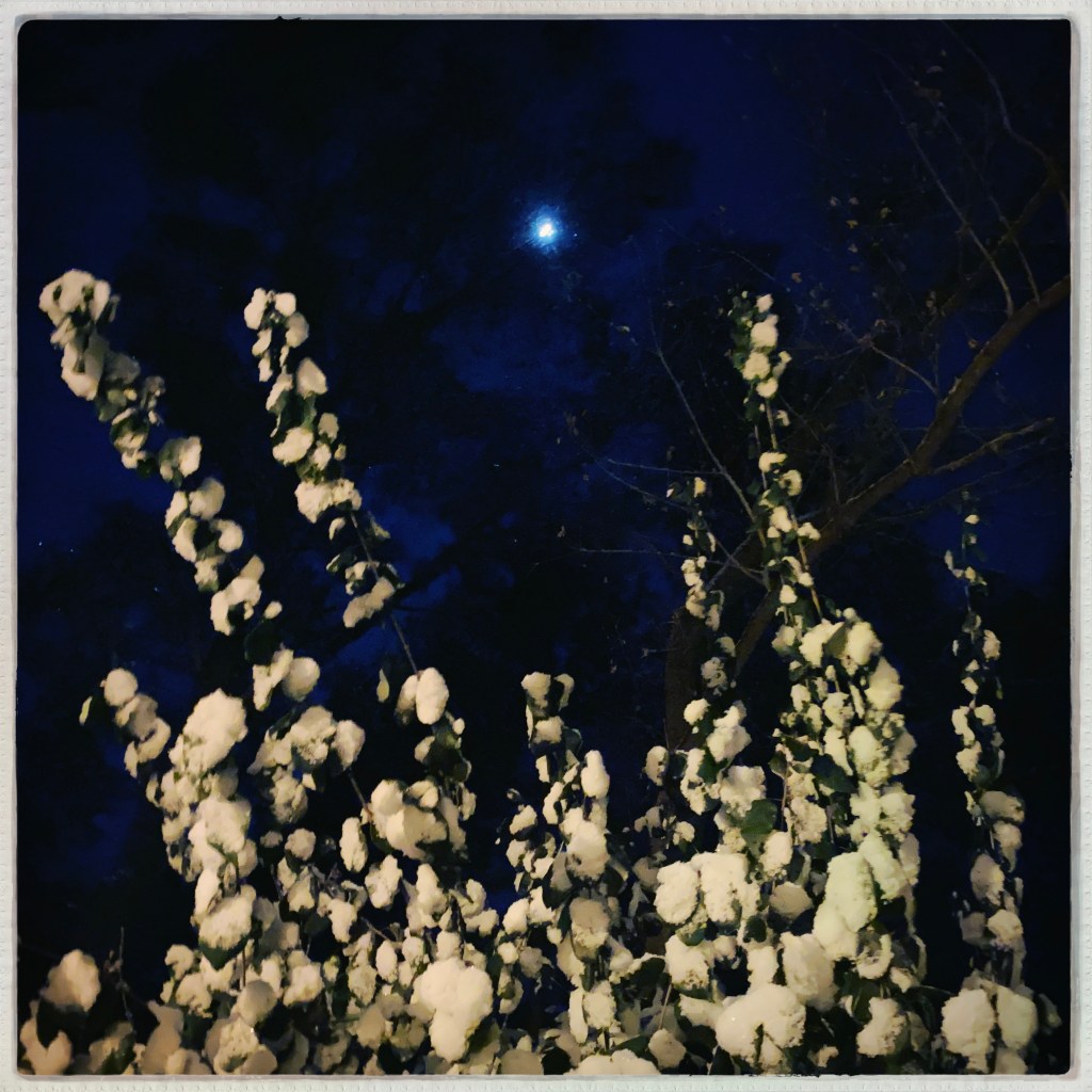 iPhone Journey – Day&nbsp;56