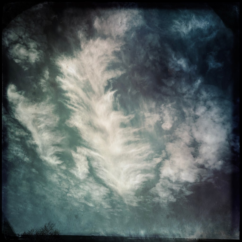 The Walking Is&nbsp;Superb