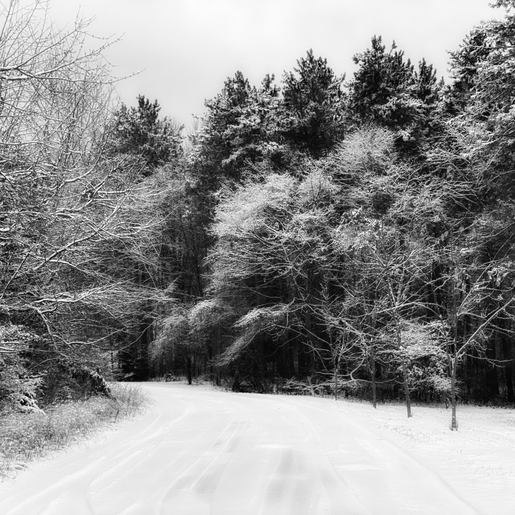 Looks Like Winter, Feels Like Winter, But It Sounds Like&nbsp;Autumn