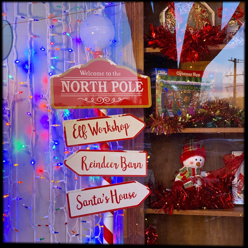 A Few Of My Favorite Holiday Window&nbsp;Displays