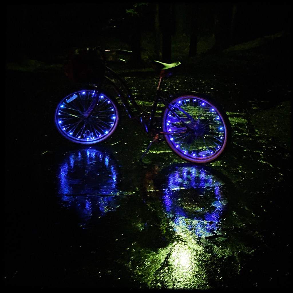 The Week In Seven Photos