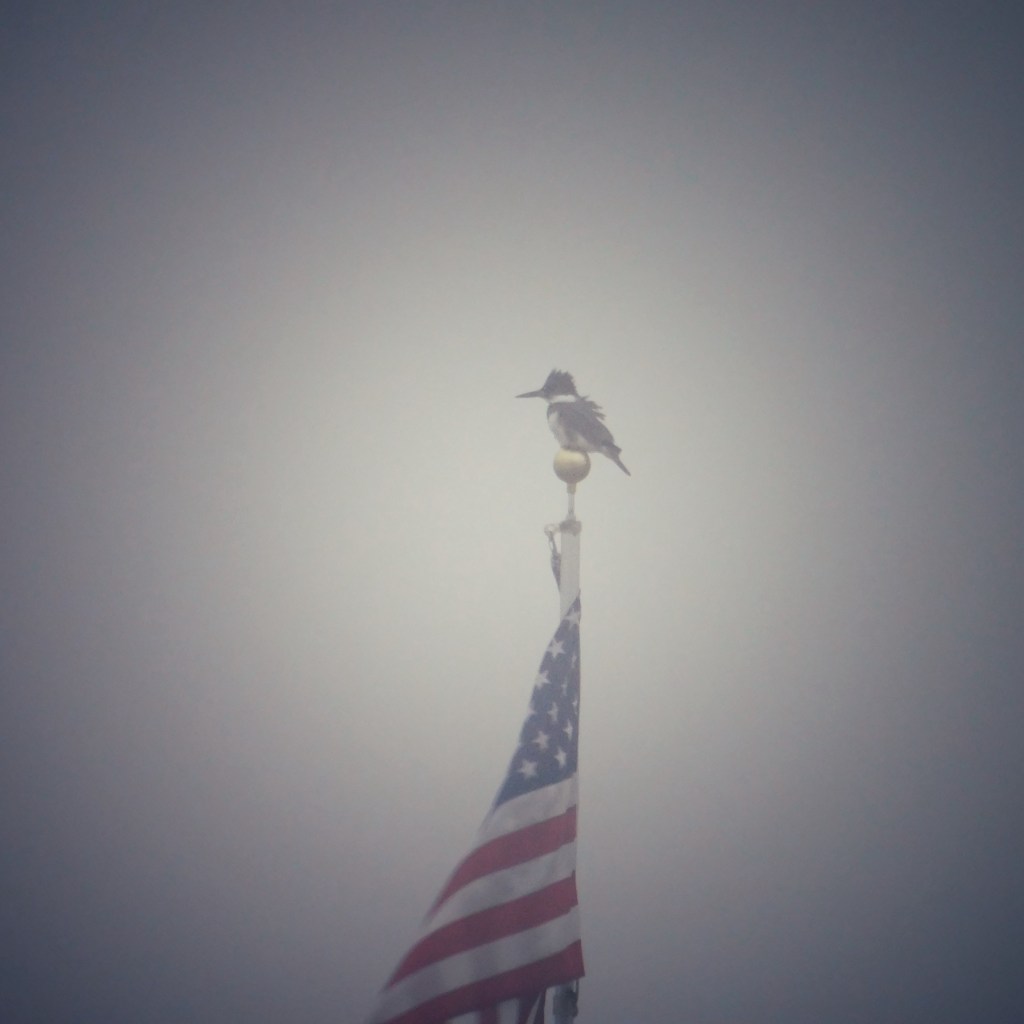 Joys Of A Foggy Rainy&nbsp;Day