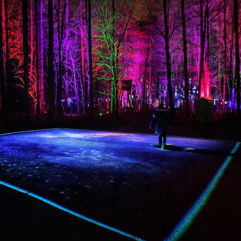 New Favorite Thing – Lighted Forest Walks